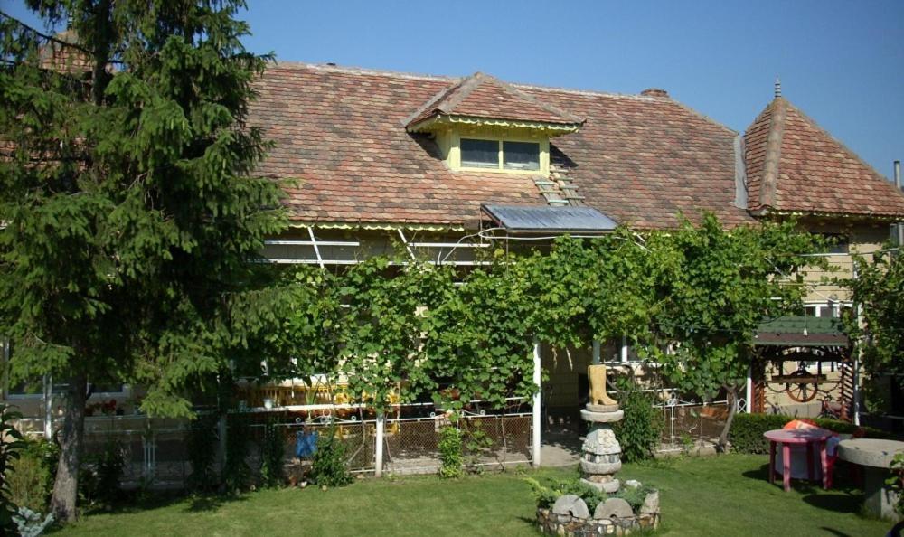 Greci Casa Matetoviciヴィラ エクステリア 写真