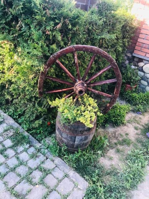Greci Casa Matetoviciヴィラ エクステリア 写真