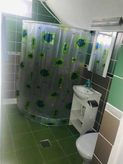 Greci Casa Matetoviciヴィラ エクステリア 写真
