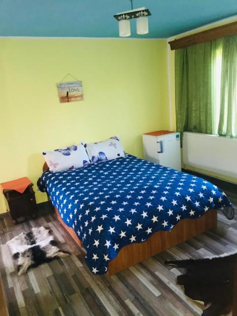 Greci Casa Matetoviciヴィラ エクステリア 写真