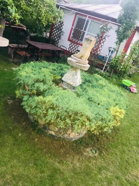 Greci Casa Matetoviciヴィラ エクステリア 写真