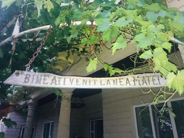 Greci Casa Matetoviciヴィラ エクステリア 写真