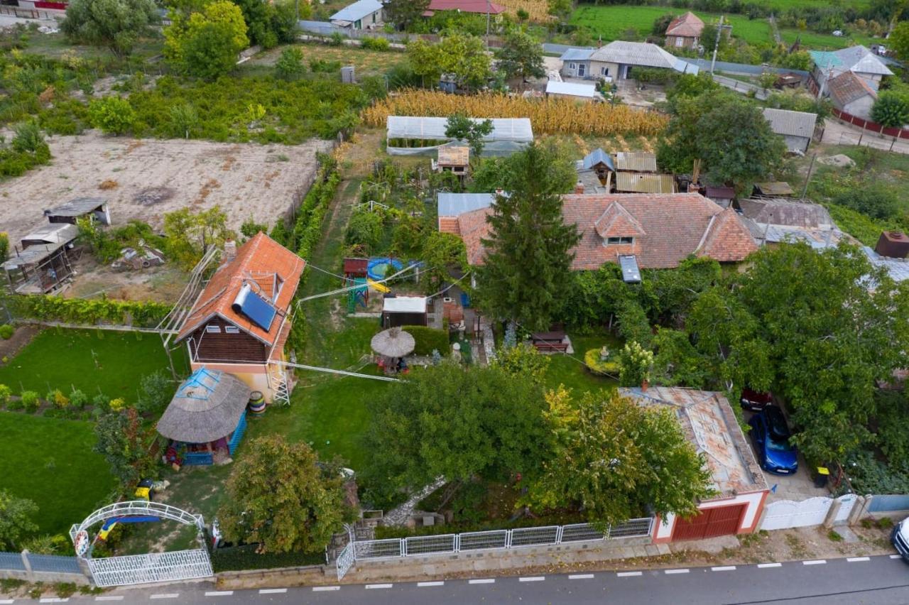 Greci Casa Matetoviciヴィラ エクステリア 写真