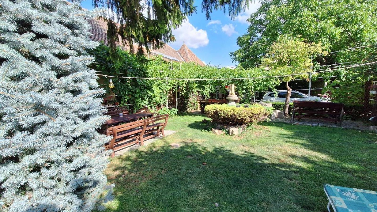 Greci Casa Matetoviciヴィラ エクステリア 写真