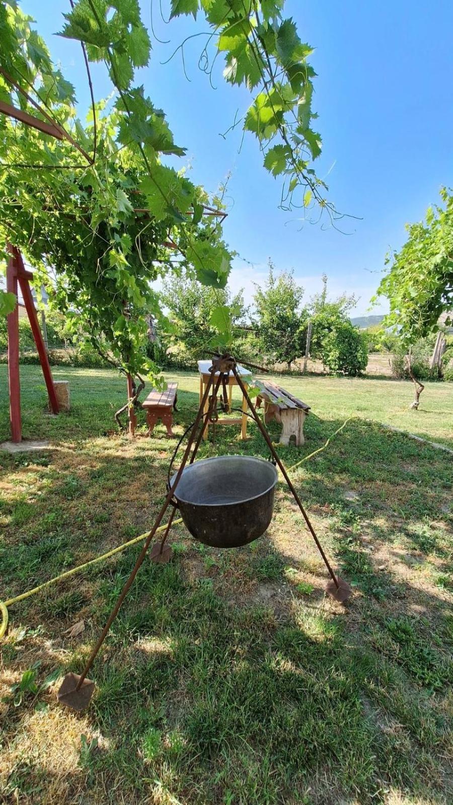 Greci Casa Matetoviciヴィラ エクステリア 写真