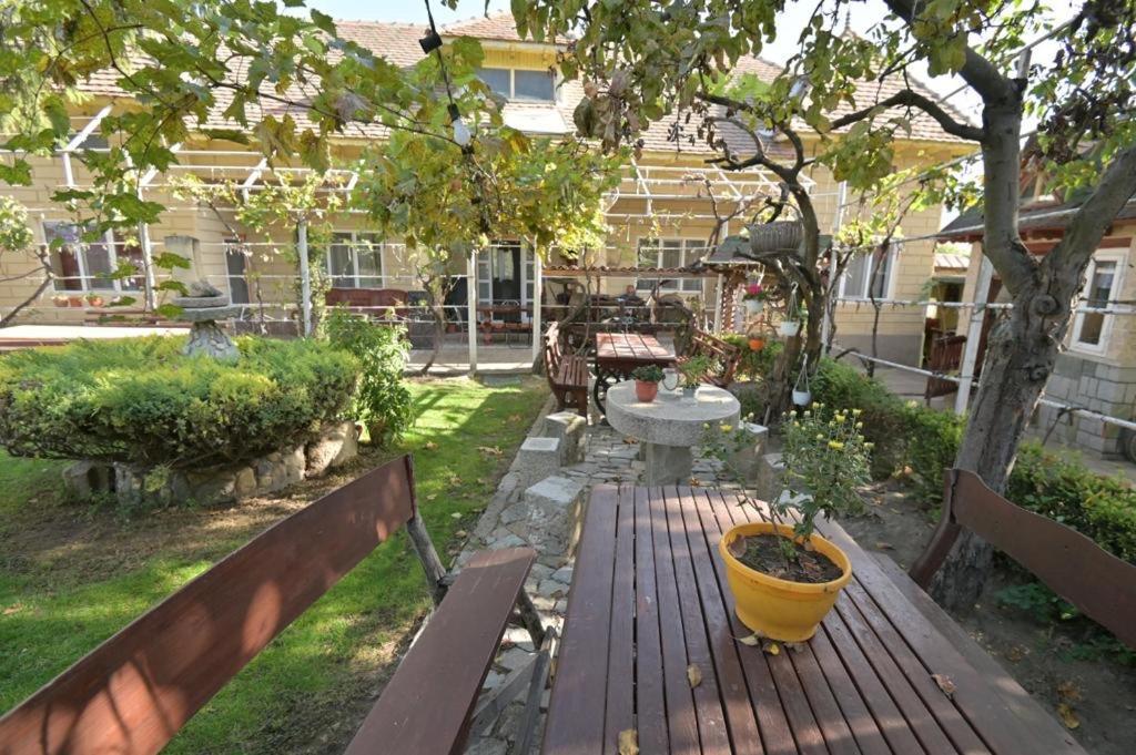 Greci Casa Matetoviciヴィラ エクステリア 写真